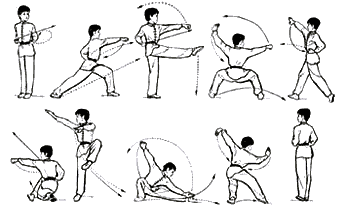 Chang Quan "Boxe longue" - Kung-fu Paris I La passion des Arts martiaux  chinois
