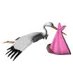 cigogne011.gif