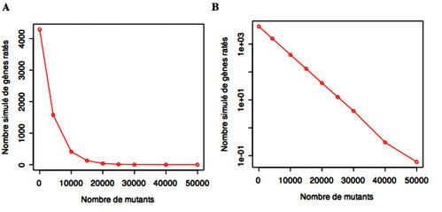 mutagenese-copie-1.jpg