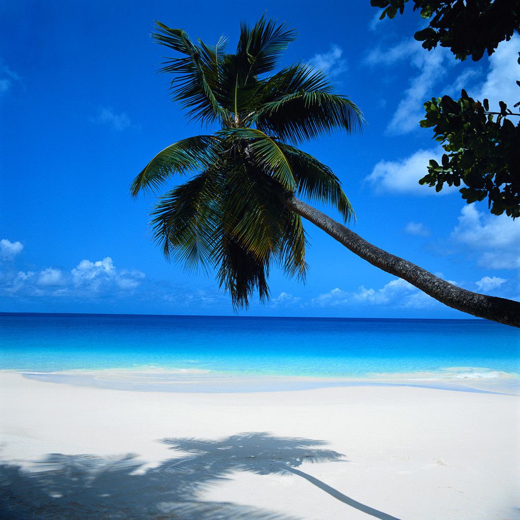 cancun-beach-photograh.jpg