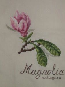 IMG_1356.jpg