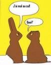 lapins.jpg