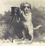 photographe.jpg