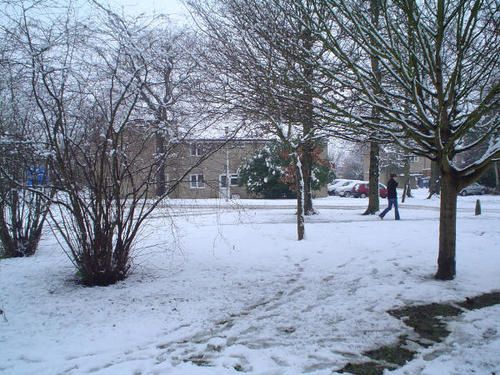 2007---03.jpg