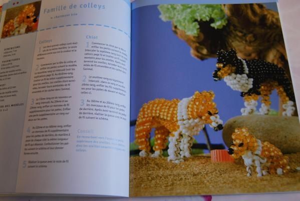 livre-animaux-1.JPG