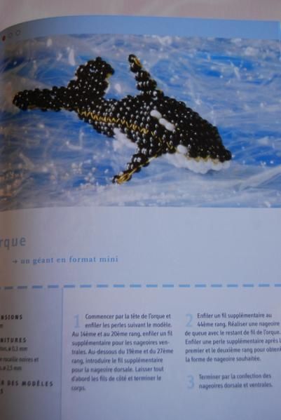 livre-animaux-2.JPG