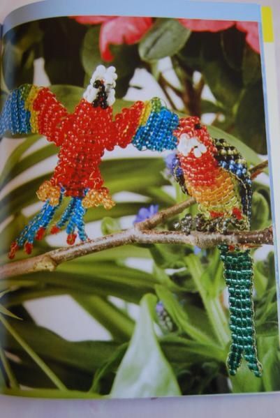 livre-animaux-4.JPG