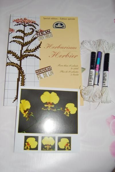 mango-herbier.jpg