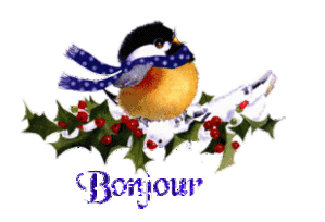 bonjour-oiseau.gif
