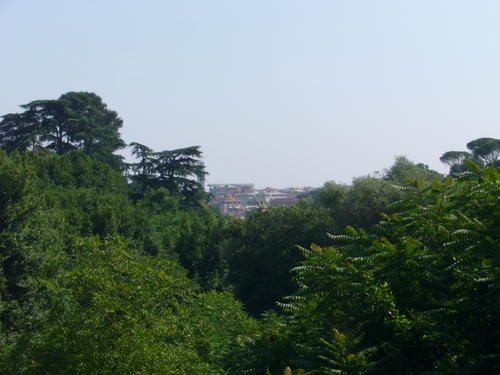 P1020804.JPG