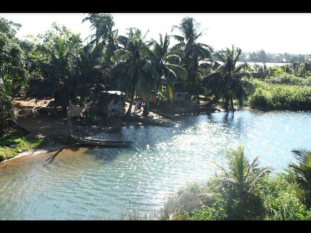 blog rencontre guyane