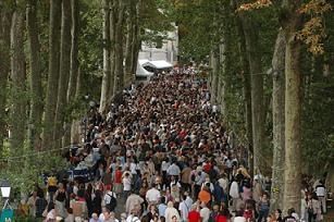 LaForetDesLivres1.jpg