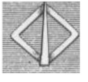 KERSAAUZON-W.jpg