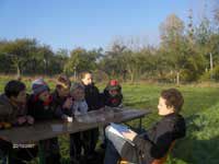 verger1-copie-1.jpg