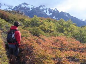 Couleurs d automne ... en esperant apercevoir le Fitz Roy