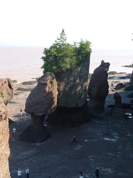 Photo : Hopewell Rocks à marée basse