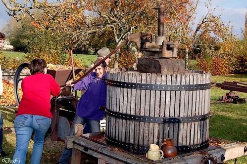 Cidre-1.jpg
