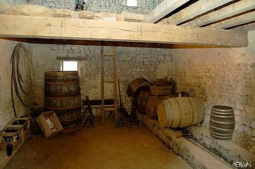 Cidre-11.jpg