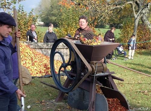 Cidre-8.jpg