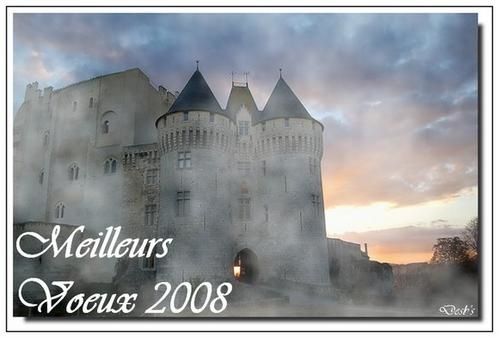 Voeux-2008-C-blog.jpg