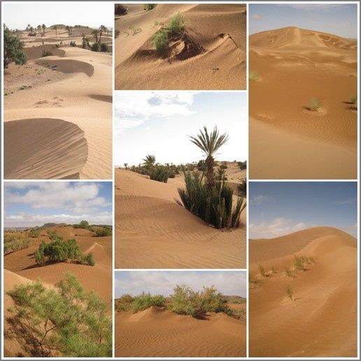 Desert-marocain_selection-copie-1.jpg