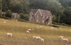 Wales--4-moutons-pour-1-habitant.jpg