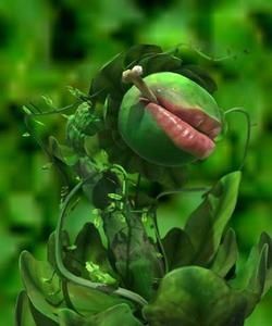 plante-carnivore.jpg
