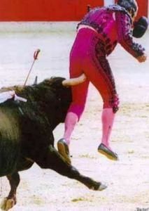 torero.jpg