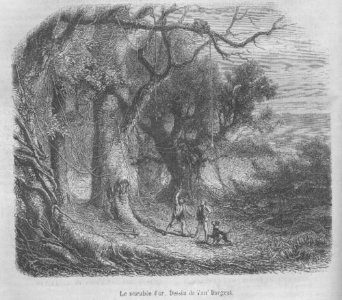 EdgarAllan-Poe-Le-Scarab---D-Or.jpg