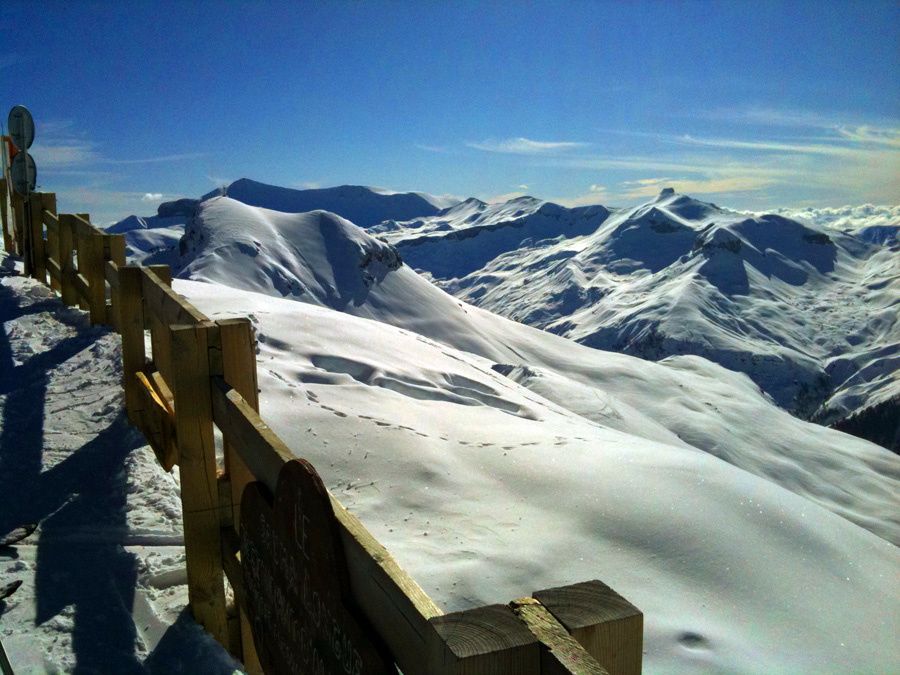 100210-0375.jpg