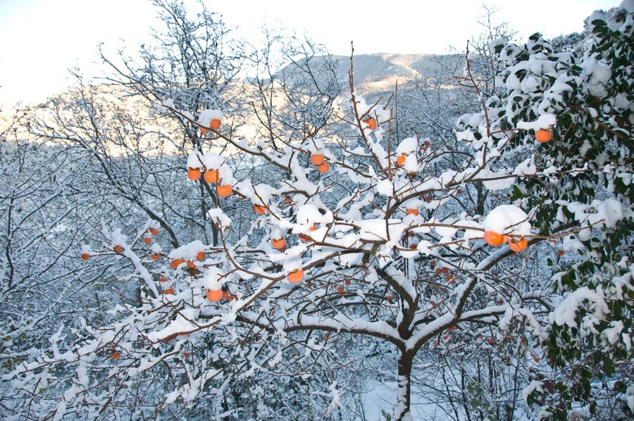 neigeMaison09 0005