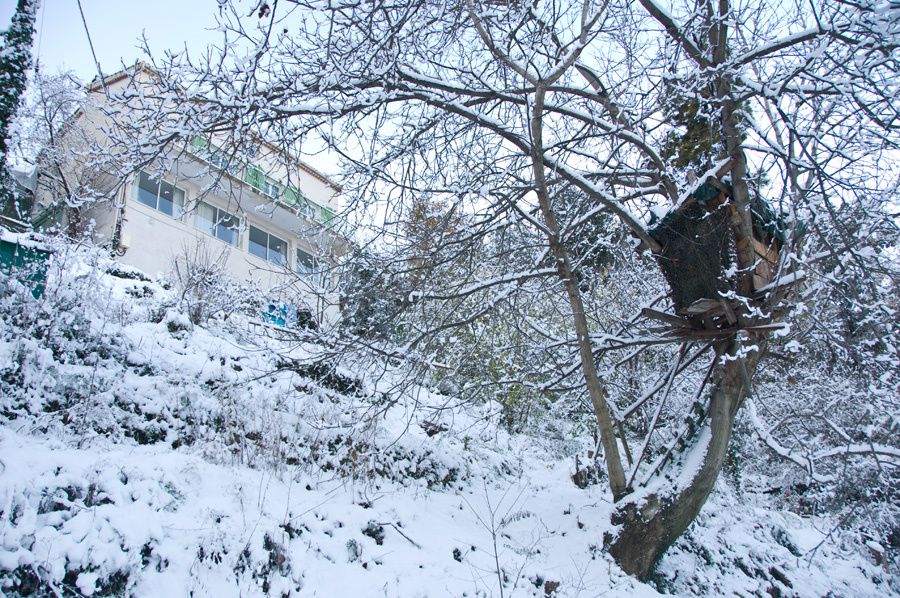 neigeMaison09 0023