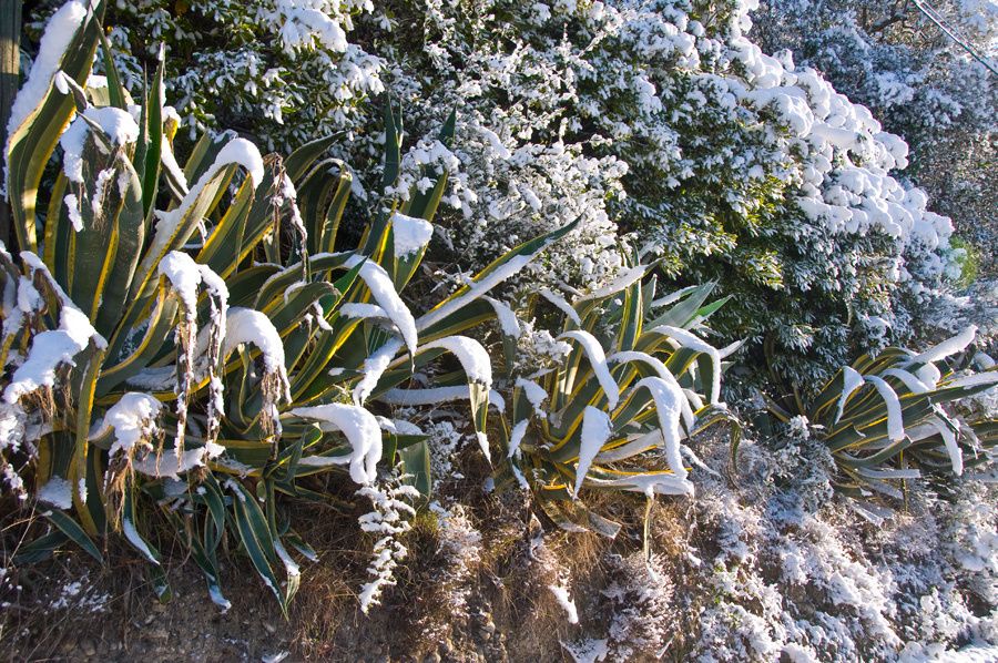 neigeMaison09 0041