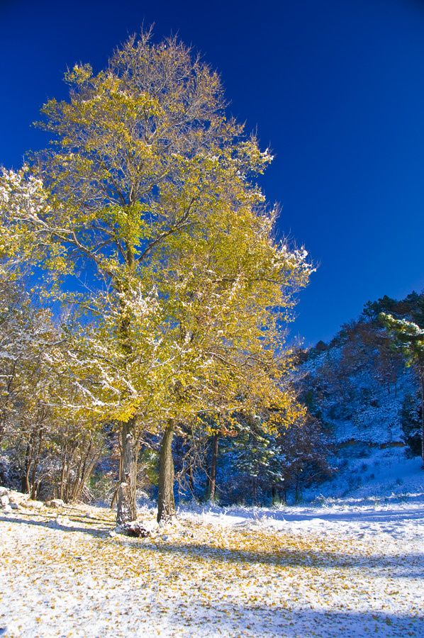 neigeMaison09 0076