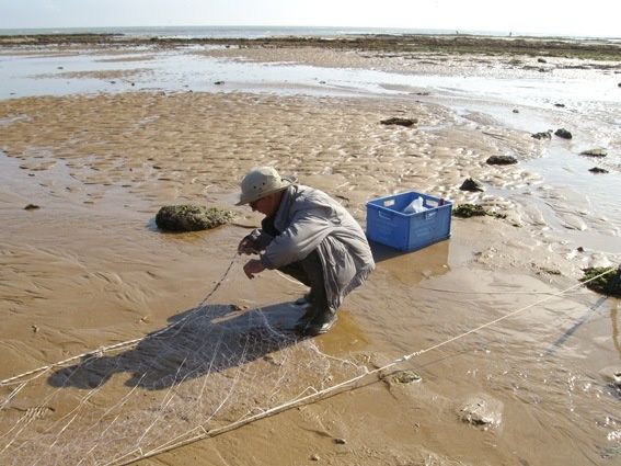 Combien coûte la flotte pour la pêche