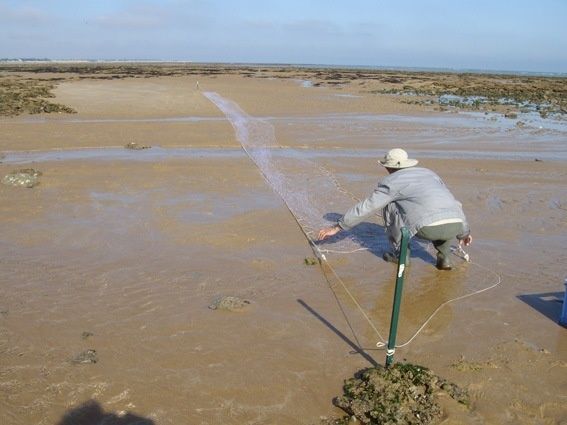 La pêche et les bases à konstantinovske