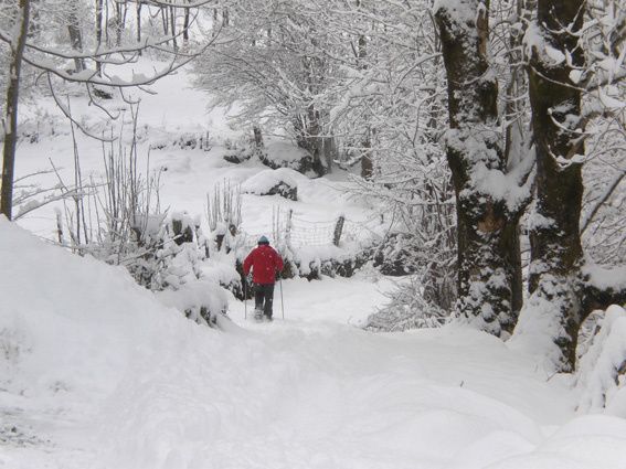 Jojjo_neige.jpg