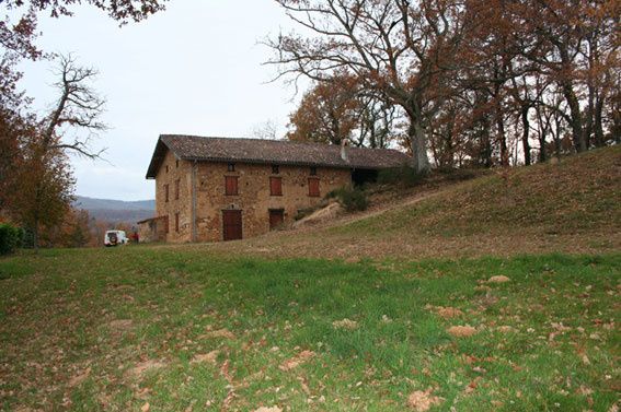 Cerni-b.jpg