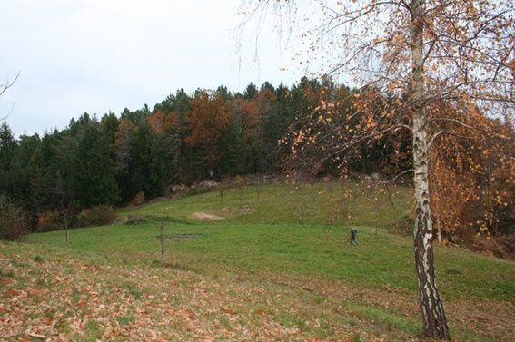 Cerni-e.jpg