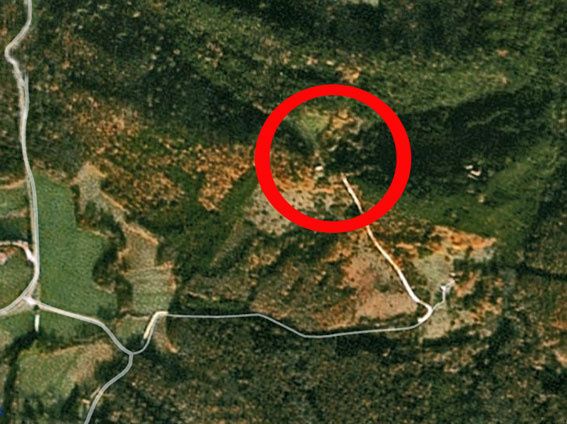 Cerni-f.jpg