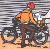 Tintin picaros