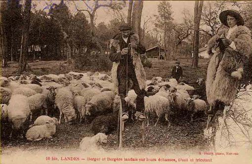 Berger-qui-file.jpg