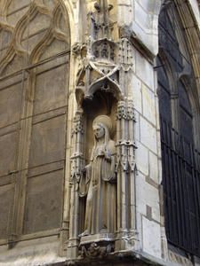 IMGP0355.jpg
