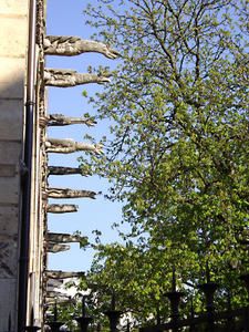 IMGP0358.jpg