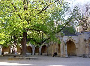 IMGP0359.jpg