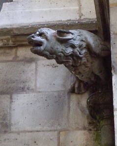 IMGP0363.jpg