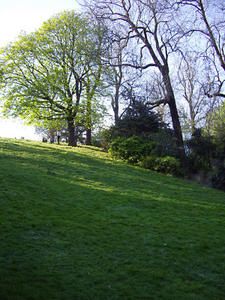IMGP0426.jpg