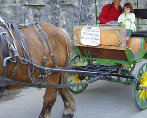 IMGP0444.jpg
