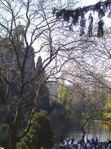 IMGP0450.jpg