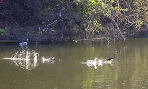 IMGP0487.jpg